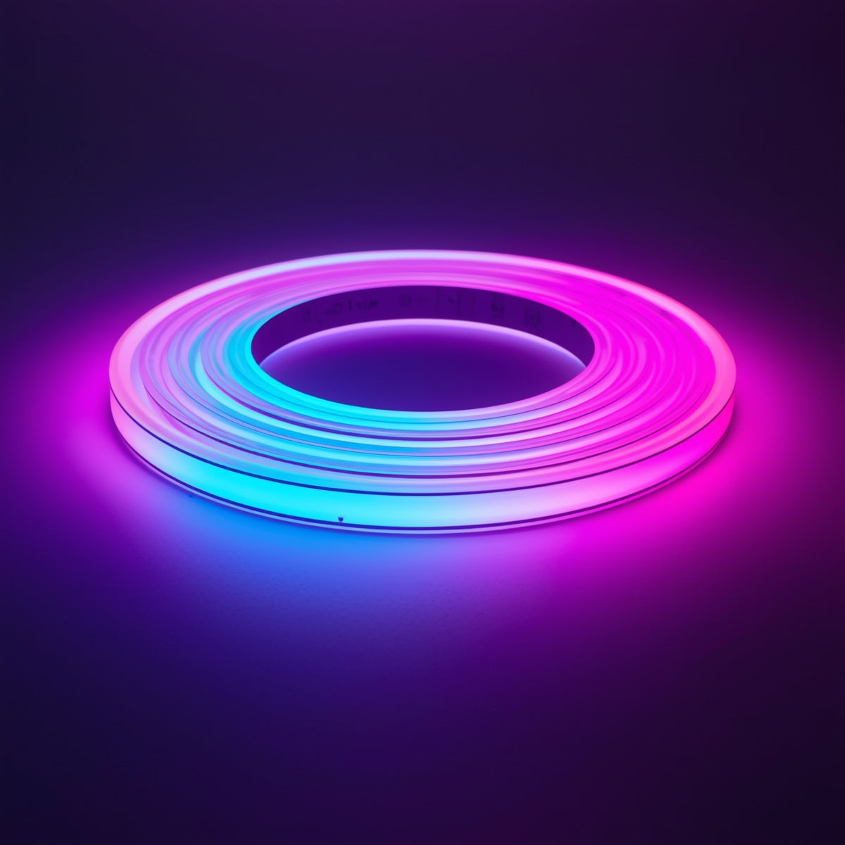 Neon RGB LED Strip Lights